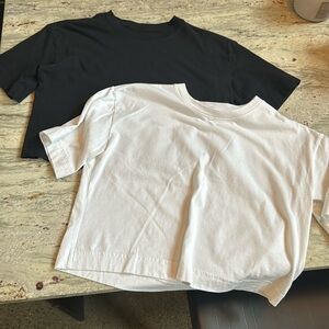 Never worn Everlane cropped T-shirt bundle of two